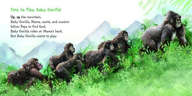 baby-animals-gorilla